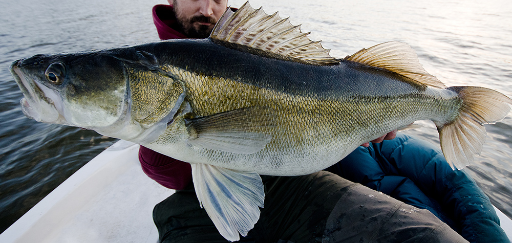 Fiskeguide i Stockholms Skärgård